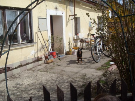 sdc12251--800x600-