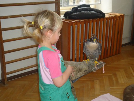 dsc00944--800x600-