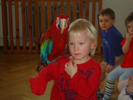 dsc00949--800x600-