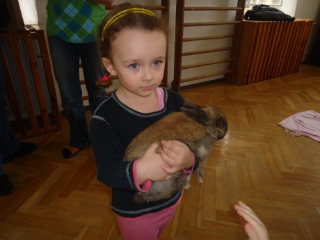 dsc00955--800x600-