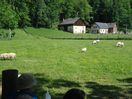 dsc02341